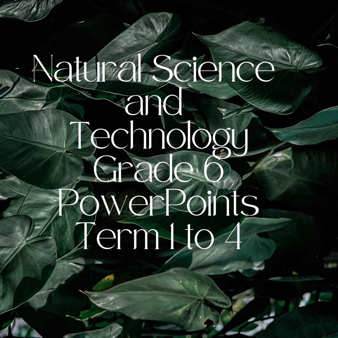 Natural Science and Technology grade 6 Bundle