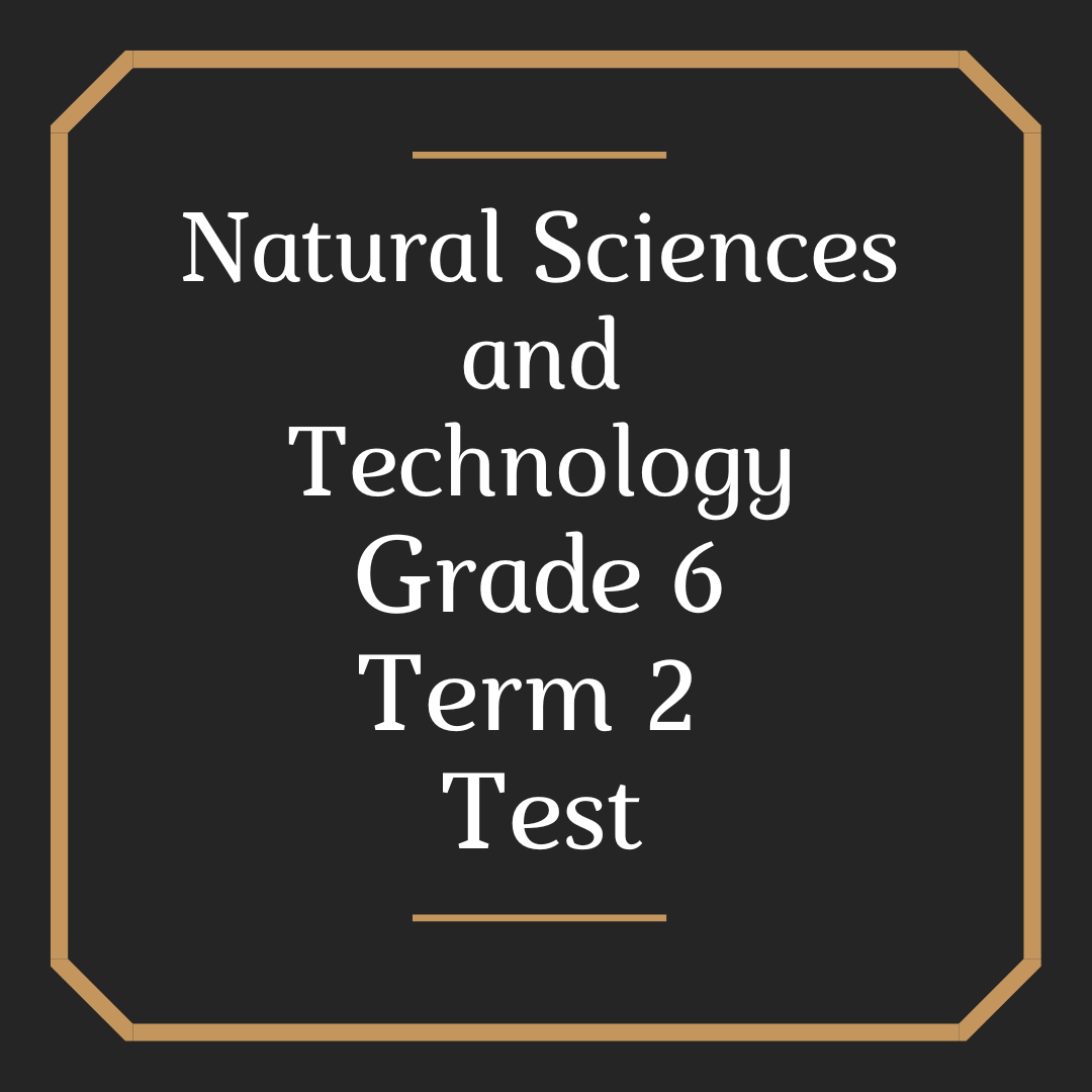 Natural Science and Technology Grade 6 Term 2 test
