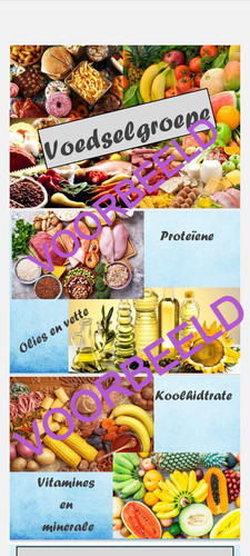 Voedselgroepe Plakkate Cs Summaries voedselgroepe-plakkate-cs-summaries