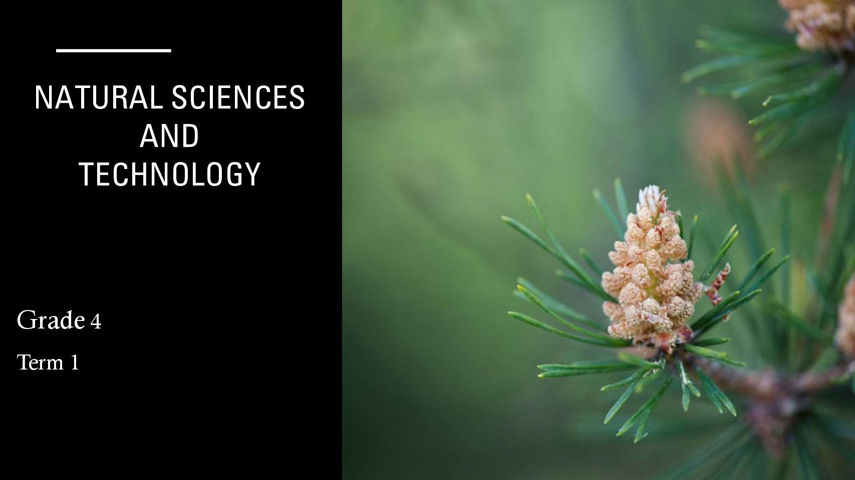 Natural Science and Technology Grade 4 Term 1 PowerPoint