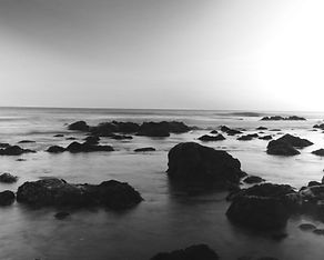 Chapus_Concentration_10 copy.jpg