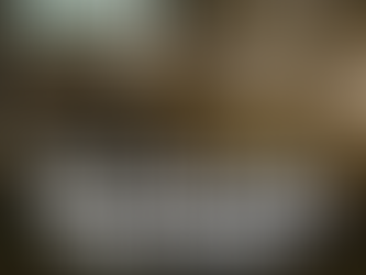 What Time of Year Is Best to Trim Trees in South Carolina?