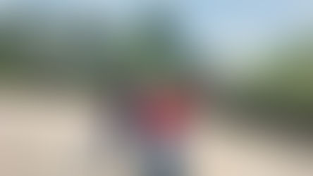 Accessible Adventures: Wheelchair-Friendly Destinations