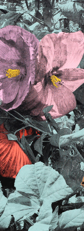 14. 접시꽃  silkscreen, acrylic on arches paper  75x115cm  2022.JPG