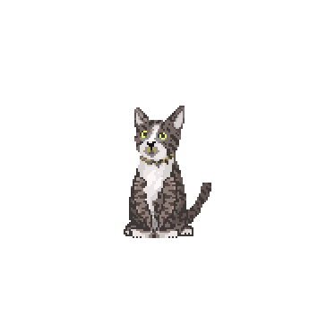 cat-animation-2x.gif