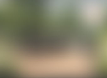 ⚠️ INFORMATION IMPORTANTE ! – Annulation de notre participation au Salon Extérieurs & Jardin à Mulhouse 🌿