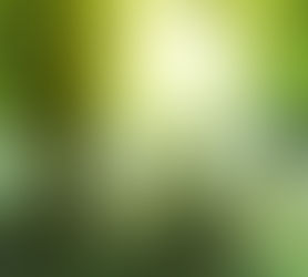 Whispers in Stone: The Hidden Language of Graveyard Headstones