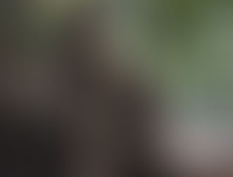 Prehistoric group in fur clothing walks through a sunlit forest, holding wooden spears, evoking a sense of adventure and survival.