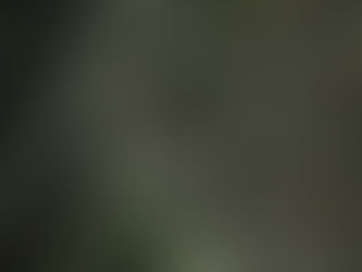 My Haunted Life: The Floating Head