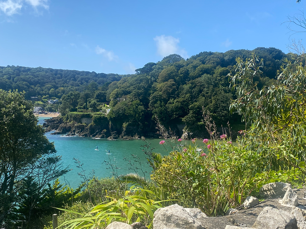 Salcombe beach