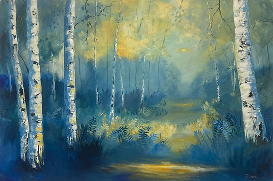 Silver Birch woodland creating hope and sanctuary for the future