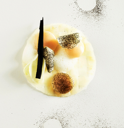 fishy torsk copy.png