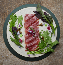 fishy torsk copy.png