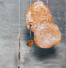 fishy torsk copy.png