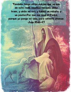 IMG_20200216_142708_163