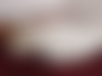 Equipe do Hospital Veterinário da Unipinhal faz cirurgia em Garça resgatada