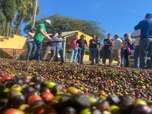 1º ENCONTRO PRÁTICO DO CURSO DE EXTENSÃO EM CAFÉ - UNIPINHAL