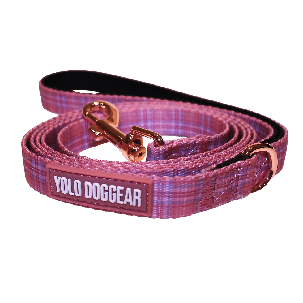 Miniatyrbilde: ROSA TARTAN HUNDEBÅND (S-L)