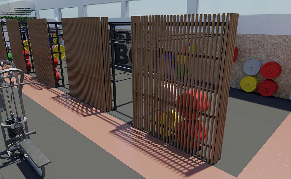 TRX Cage 2.jpg