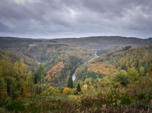 Le trail en Belgique : Tout ce que vous devez savoir pour dénicher les bons spots