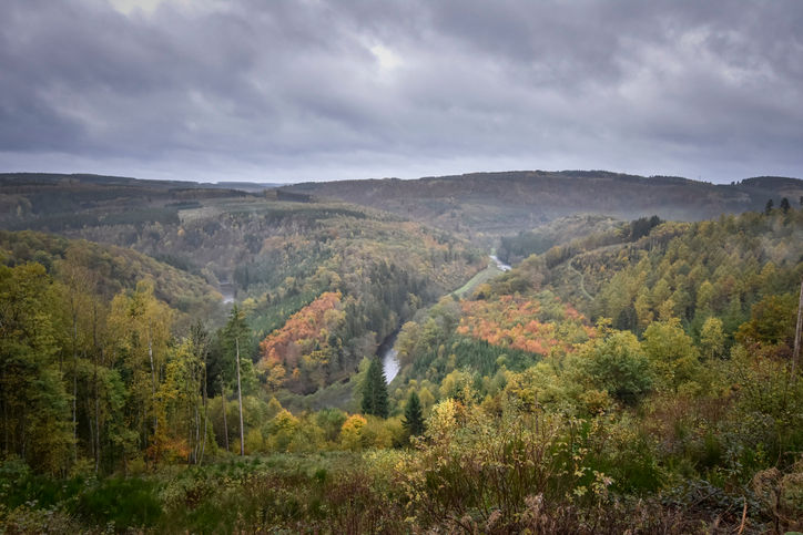 Vue panoramique sur les forêts des Ardennes belges