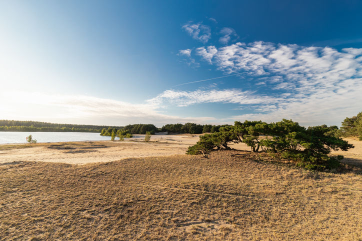 Sahara de Lommel, Belgique