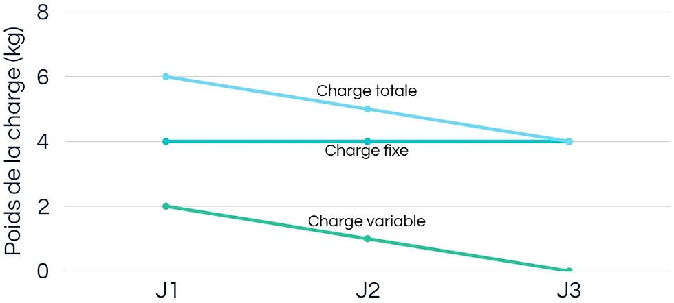 Graphique présentant l'évolution des charges fixe et variable pendant un trail en itinérance