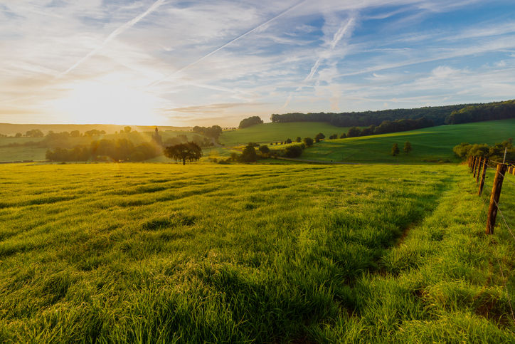 Grande étendue de champs, Belgique