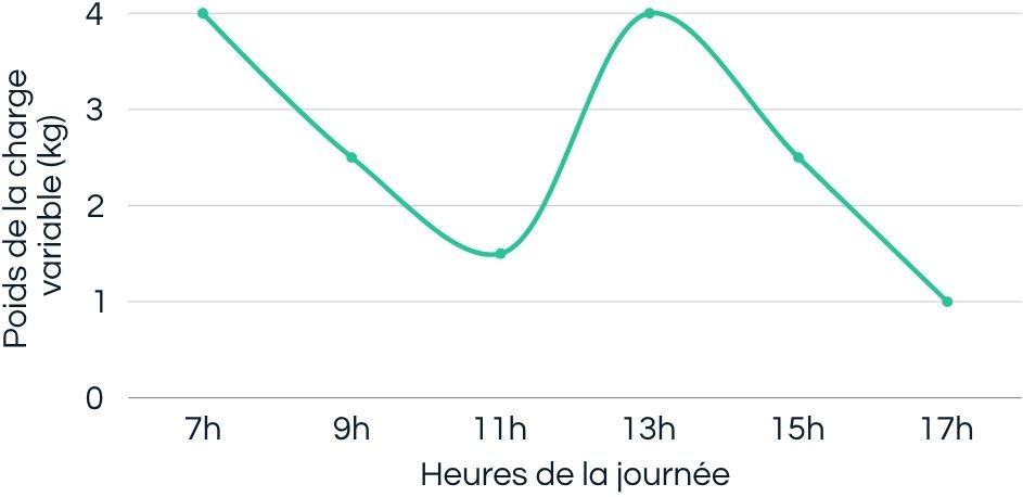 Graphique présentant l'évolution de la charge variable au cours d'une journée d'un trail en itinérance