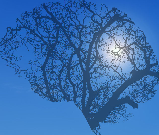 Cerveau, réseau sur fond bleu avec soleil
