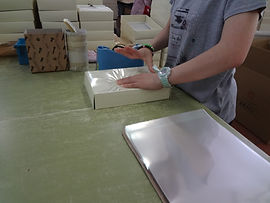 DSC02700.JPG