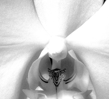 chris-vanhove-LBdsU3sUOg0-unsplash_edite