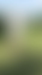 Eliminate Early Extension - Best Drill