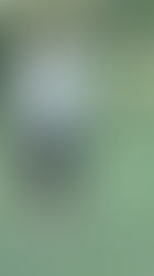 Three Biggest Swing Mistakes