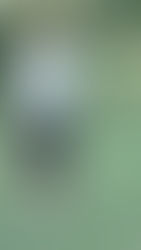 Three Biggest Swing Mistakes