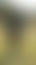 Surf the Line - Perfect Pivot