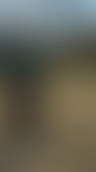 Best Putting Drill: Belly Wedge