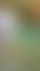 Solid Pitches: Train Trail Arm