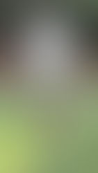 Three Best Swing Feels