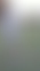 Push Toes Out of Shoes in Transition