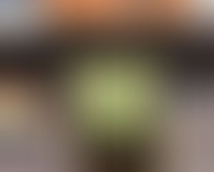 歳をとったと感じた瞬間