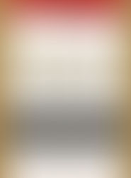 私の外国語の学び方