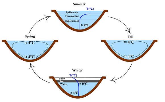 Lake overturning.png