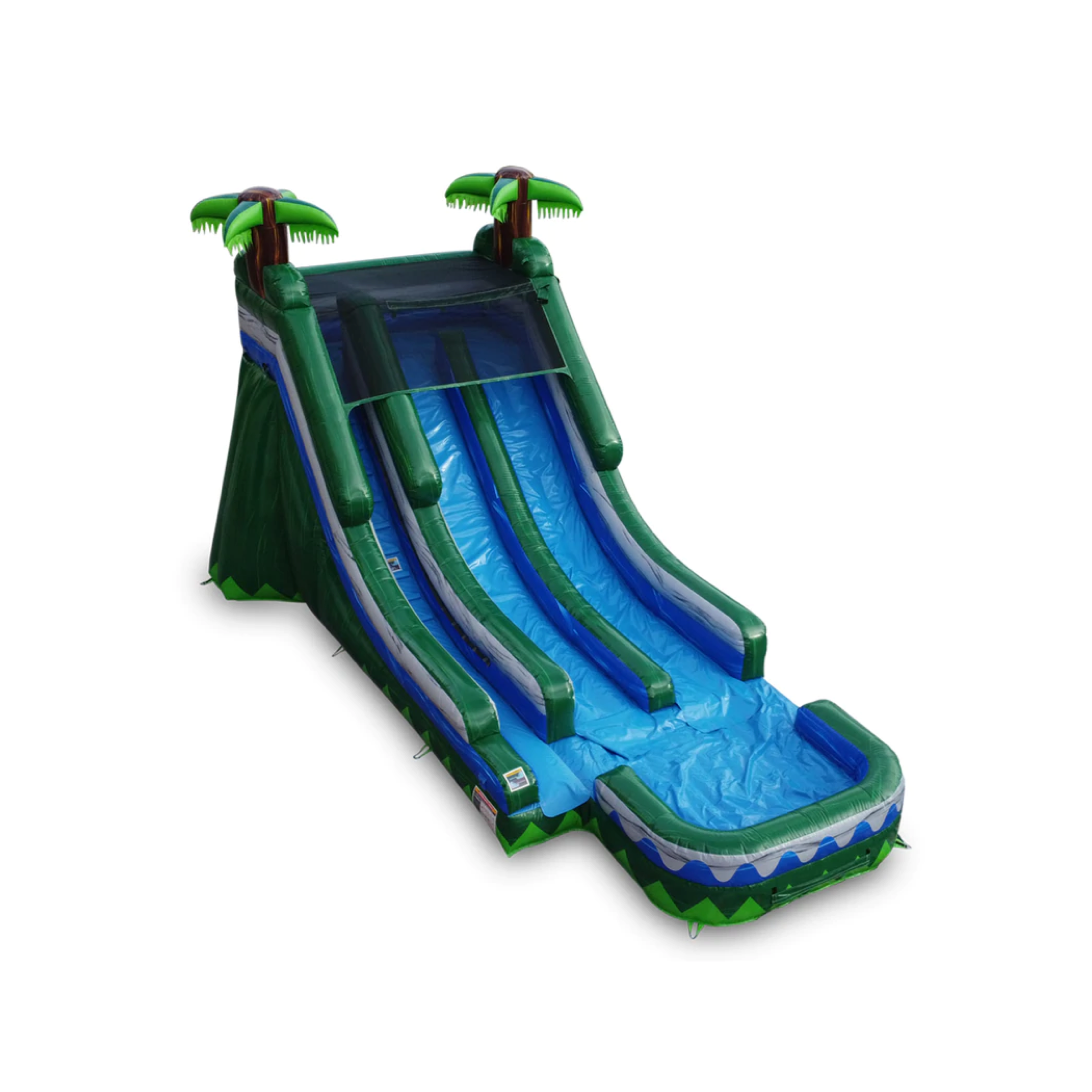 DRY 20’ Tropical Inflatable Dual Slide
