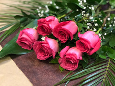 6 roses fushias 46$