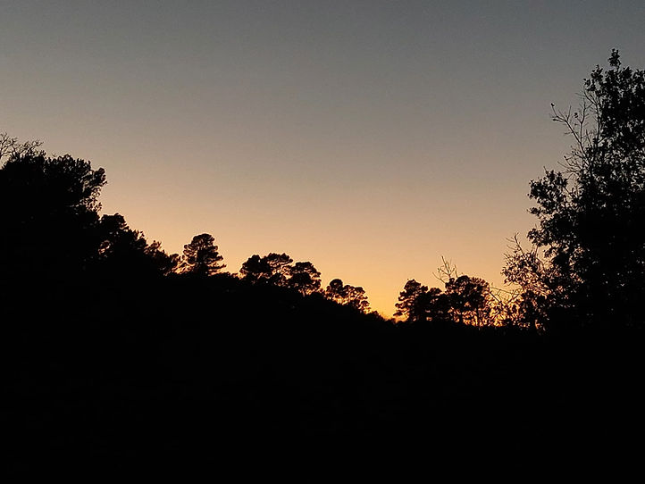 WhatsApp Image 2024-02-22 at 09.18.40 (1).jpeg