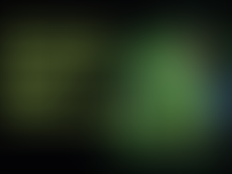 Small business owner in South Africa using ChatGPT for multilingual customer service support