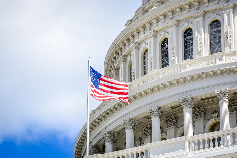 How the Trump Administration Can Leverage Customer Experience (CX) Strategies to Deliver Efficient and Effective Government Services