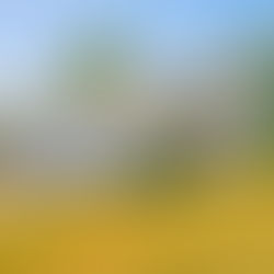 115 Wisteria Dr, Naugatuck, CT