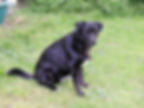 Bella Donna at Kelpie